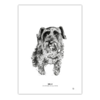 FURRY FRIENDS PRINT SELV